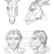 Illustration for article titled Baroque-Era Drawings Reveal Early Ideas About Evolution
